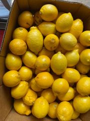 kayonpo　愛媛　完全無農薬　最高級　レモン　15キロ kayonpo様専用 愛媛 完全無農薬 最高級 レモン 15キロ - メルカリ