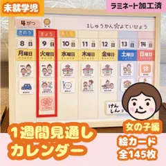 kotsuatsuko様ご予約商品 気持ちカード【女の子バージョン】他療育グッズ kotsuatsuko様ご予約商品 気持ちカード【女の子バージョン】他
