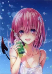 To LOVEる-とらぶる-モモ A3クリアポスター　4枚 Amazon.co.jp: To LOVEる-とらぶる-モモ A3クリアポスター 4枚