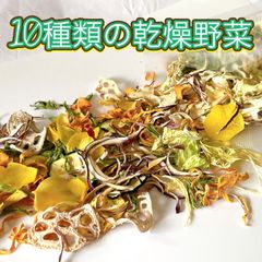 美味‼︎野菜栽培士が育てた【10種類の乾燥野菜MIX 200g 】無添加無着色
