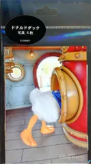 東京ディズニーリゾート 写真 6枚セット ドナルドダック/実写