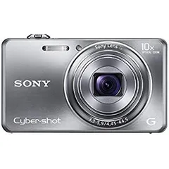 SONY Cyber-shot DSC-WX100 コンパクトデジタルカメラ Amazon.com : SONY Cyber-shot WX100 (18.2MP/x10 Optical zoom