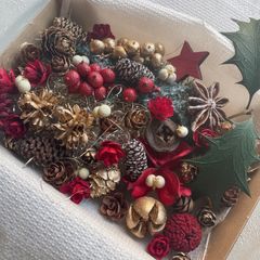 ドライフラワー ドライ ナッツ 木の実 詰め合わせ セットˎˊ˗ クリスマス　クリスマスBOX スギ　ヒイラギ　　No.36