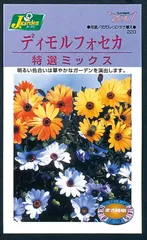 2024年最新】ディモルフォセカの人気アイテム - メルカリ