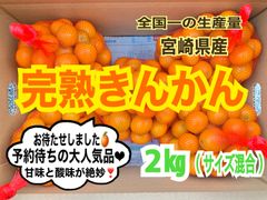 【本来の輝き】完熟❣️露地きんかん2㎏/金柑　キンカン　みかん　国産レモン　果物