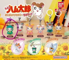 2025年最新】ハム太郎3の人気アイテム - メルカリ