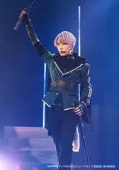 【中古】生写真(男性) 山崎晶吾(五月雨江)/ライブフォト・膝上/舞台「刀剣乱舞」江 おん すていじ ～新編 里見八犬伝～ ローソンプリント 舞台ブロマイド