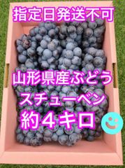 🍇山形県産ぶどう スチューベン約４キロ🍇