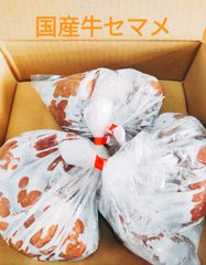 国産牛セマメ（腎臓）約1.1㎏！キドニーパイ　ロニョンドヴォー