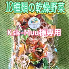 【Ksk-Muu様専用】10種類の乾燥野菜100g×4袋　ソフト真空パック