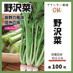 【野菜の種】抜群においしい漬物菜の定番品種「野沢菜」収穫約６０日～種１００粒