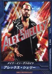 【中古】キング オブ プロレスリング BT06-014[R]：[コード保証無し]アレック・シェリー