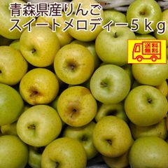 青森県産　りんご　訳あり　スイートメロディー14-25玉程度　5kg