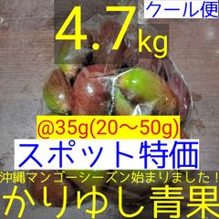 〈スポット特価〉沖縄県産 摘果マンゴー/青マンゴー@35g(20〜50g)約4.7kg【クール便】⑦