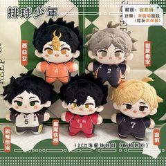 ハイキュー!! 12cmぬいぐるみストラップ チャーム 木兎光太郎