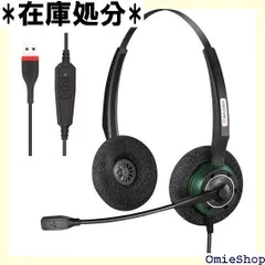 ヘッドセット USB 両耳マイク付き イズキャンセリング 軽量 有線 会議通話 ボイスチャット スイッチ ゲーム用 PC用ヘッドホン… 815