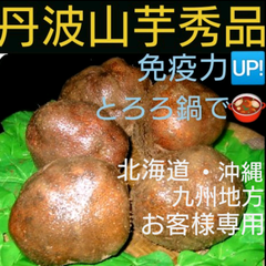 ⭐新芋⭐丹波産山の芋秀品2キロ(山芋)