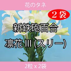 花のタネ TFA04 新鉄砲百合・凛花III（スリー） 2粒 x 2袋