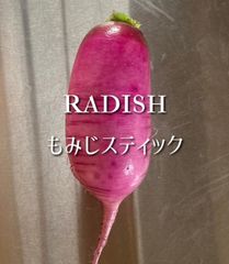 富山県産 もみじスティック大根 約1.5kg