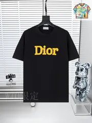 【今日WTO】DIOR ディオール 25SS ロゴプリント ショートスリーブ T シャツ-MR97
