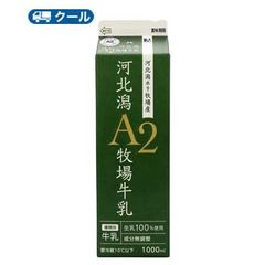 ホリ乳業　河北潟A2牧場牛乳【1000ml×12本入】 クール便　紙パック/　飛騨　牛乳　milk　ミルク　A2　たんぱく質　石川県