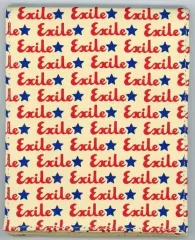 【中古】鏡・ミラー EXILE PERFECT キャンバスミラー 「EXILE LIVE TOUR“EXILE PERFECT LIVE 2008”」