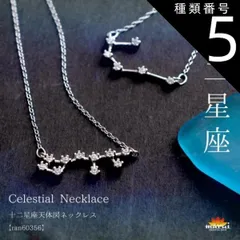 種類5:獅子座 ネックレス レディース  金属アレルギー シンプル 胸元に夜空を彩る。十二星座天体図ネックレス チェーン アクセサリー 925シルバー スターリングシルバー シルバー 十二星座 星 星座 誕生日 きれいめ プレゼント n_marai 春服