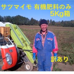 紅はるか 5kg さつまいも 有機 肥料のみ  新物 紅はるか 5Kg箱 千葉県産 B品 S~2Lサイズ