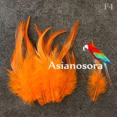 ◾️⭐︎【F4オレンジ】高品質 羽根 フェザー ハンドメイド 素材 鳥 パーツ　鳥の羽根