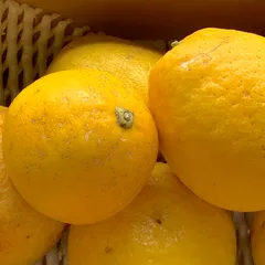 ☆送料無料☆　ブローチ　ミニ　レモン　檸檬　柑橘類　フルーツ　果物　ゴールド　bro-0708