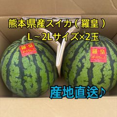 産地直送　熊本県産　スイカ×2玉セット(羅皇ザ　スウィート)秀品　L～2Lサイズ(6～7キロ)