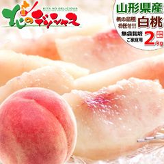 【予約/7月下旬(7月20日頃)～出荷予定】山形県産 ご家庭用 白桃 2kg (無袋栽培/6玉〜9玉入り) わけあり 訳あり 北の桃源郷 北限の桃 はくとう もも モモ 桃 白桃 自宅用 家庭用 人気 果物 フルーツ 山形県 産地直送 送料無料 お取り寄せ