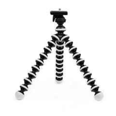 Item thumbnail for item 02bde178-c866-4fbb-98fc-b9133e863d89