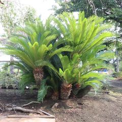 CjKm8T2V2PoPRTMk52Pbd7.jpg@jpg