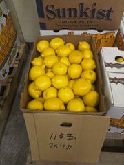 【たっぷり使える！アメリカ産レモン 115個入り大容量業務用】★4