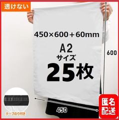 【匿名配送】LDPE宅配袋 宅配ビニール袋 テープ付き 梱包資材a2 A2 25枚