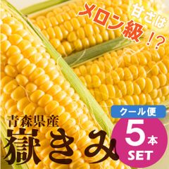 【朝採れ】青森県産甘くて有名な”嶽きみ（A品）”　L～LLサイズ×5本｜1セット｜【北陸～四国まで】