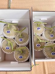 庄内砂丘特産　アンデスメロン　3L4個2箱　贈答用