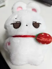 スキズ リノ ぬいぐるみ リギンイ Lee Know 리노 スキズ リノ ぬいぐるみ リギンイ Lee Know 리노 2025年最新