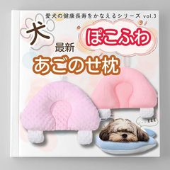 Item thumbnail for item 10a065ef-edc0-470b-98e5-dcbd5ef0e3d2