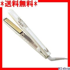 <売れ筋> 海外兼用 ヘアアイロン CIS-R01 831