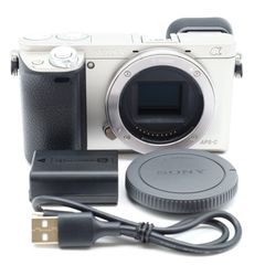 SONY  α6000 ボディ シルバー ILCE-6000 S  ショット数18785回