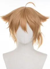 にじさんじ 伏見ガク コスプレウィッグオーダー にじさんじ 伏見ガク 新衣装 コスプレウィッグ - Costowns