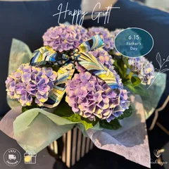 紫陽花 あじさい アジサイ 父の日  花 2025 プレゼント 誕生日  御祝 花 ギフト お父さん お母さん おすすめ 鉢物 ブルー ピンク オシャレ 人気 おしゃれ  栄養剤付き 送料無料