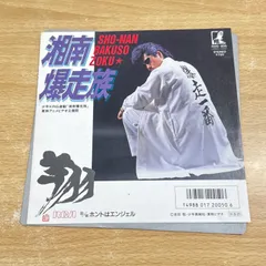 湘南爆走族　レコード 湘南爆走族・湘南爆走族Ⅱ LPレコード - メルカリ
