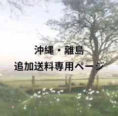 追加送料専用ページ