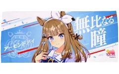 ゆ*た様 ウマ娘 アーモンドアイ ハーフブランケット タオル ゆ*た様 ウマ娘 アーモンドアイ ハーフブランケット タオル ゆ