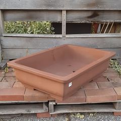 希少】常滑焼 落款有り 烏泥外縁長方鉢 25号 盆栽鉢 松柏盆栽に