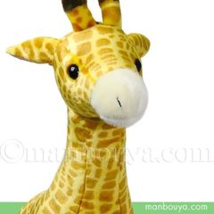 【送料無料】キリン ぬいぐるみ 大きい かわいい 動物園 お土産 キュート販売 CUTE きりん LL 65cm