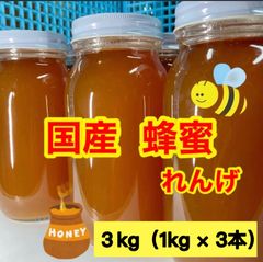 蜂蜜　国産　3kg   れんげ蜂蜜　蜂蜜国産　1kg×3   ハチミツ　生蜂蜜100%   非加熱　九州産　純粋蜂蜜　はちみつ　はちみつの王様　レンゲ　国産はちみつ　3本
